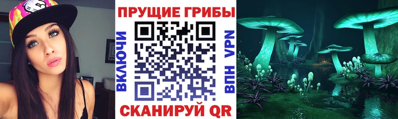 купить цена Ишимбай Галлюциногенные грибы MAGIC MUSHROOMS