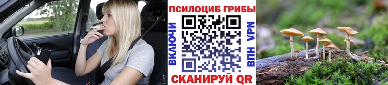 Галлюциногенные грибы ЛСД Ишимбай